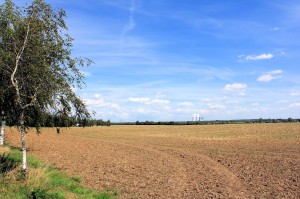 Als "Burgberg" benannter Bereich bei Nöthnitz