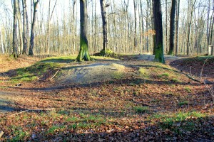 Altes Schloss Oberholz