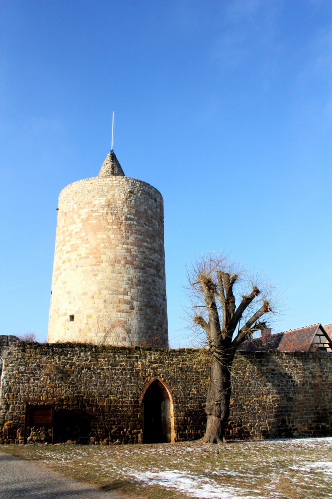 Burg Osterfeld (bei Halle (Saale)) › Burgen, Burgenlandkreis, Sachsen