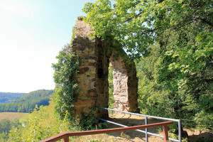 Ringethal, Burg Lewenhain (Ringethaler Raubschloss)