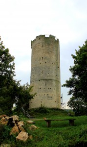 Saaleck, Burg Saaleck