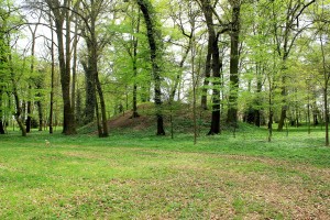 Wasserburg Schnaditz, Turmhügel