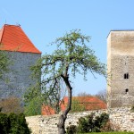 Wanzleben, Burg