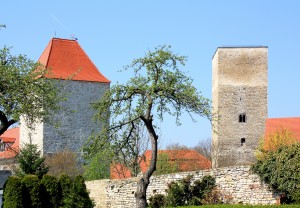 Burg Wanzleben