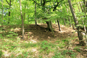 Wallburg bei Wendishain