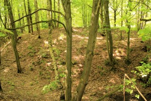 Wermsdorf, Burg Hayn, Burghügel