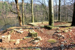 Nennewitz (Wüstung, Wermsdorf), Burg