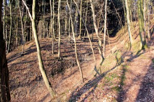 Burg Wippra, Wall-Graben-System