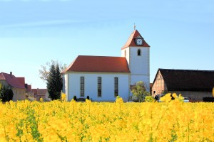 Die Kirche in Tellschütz im Frühjahr 2014