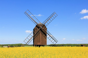 Windmühle in der Dahlener Heide