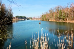 Im Wersmdorfer Wald an den Drei Teichen