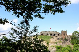 Die Burg Regenstein