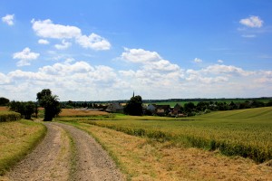 Im östlichen Kohrener Land bei Jahnshain