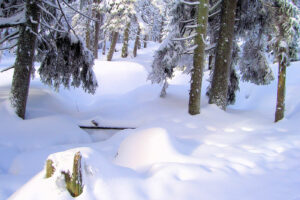 Winter auf dem Brocken