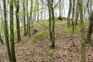 Chursdorf, Burg Drachenfels, Burghügel