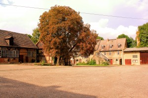 Fronveste Dornburg, Wirtschaftshof