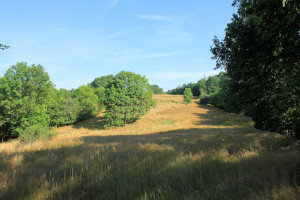 Wallburg Fischendorf