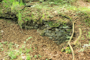 Altes Schloss Geringswalde, Gebäuderest