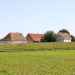 Neublessern, Vorwerk (Gestüt)