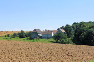 Schönborn-Dreiwerden, Vorwerk Wolfsberg