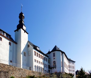 Wildenfels, Schloss