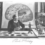 Flechsig, Paul (Psychiater, Hirnforscher)