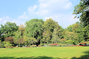 Clara-Zetkin-Park, Dahliengarten