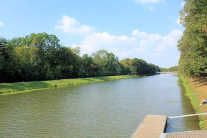 Elsterflutbett am Clara-Zetkin-Park