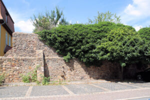 Stadtmauer Grimma am Wallgraben
