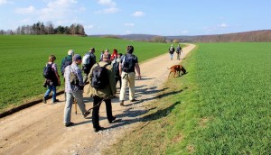 Wanderer im Harz